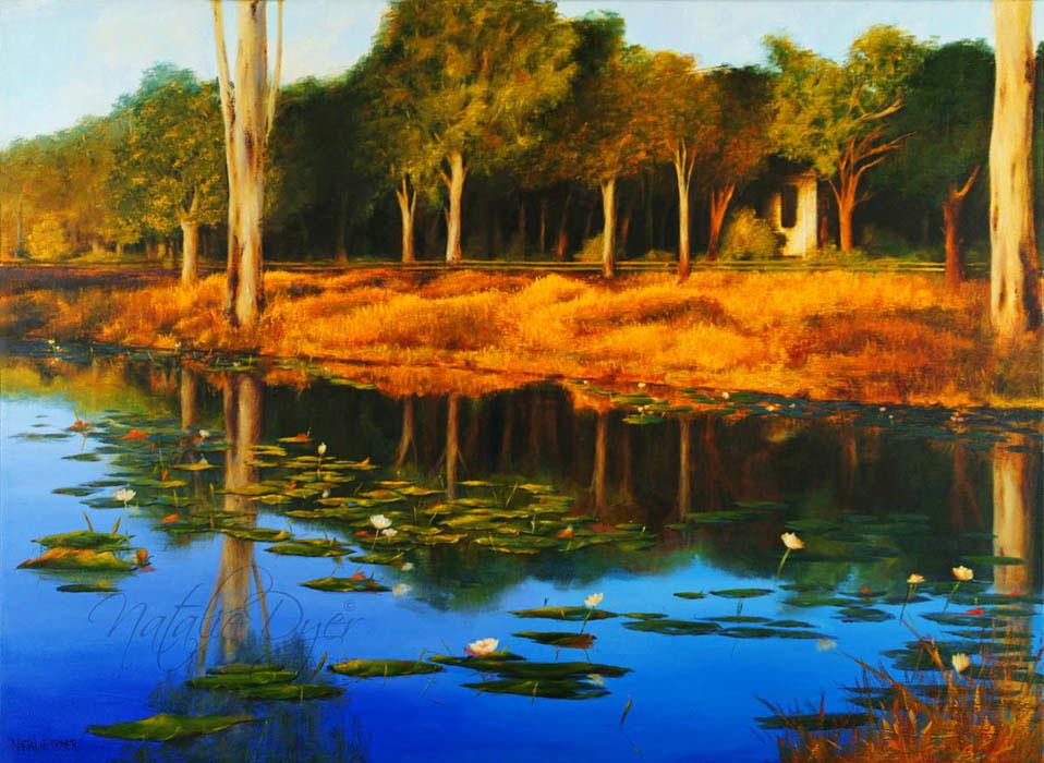 Billabong Sunset, an open edition fine art print by Natalie Dyer, Scapes, Florals and Fauna series, Sunshine Coast Australia